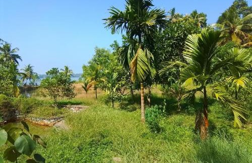 Munroe Island Villa | JC Island Resort munroe