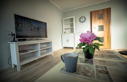 Kalisz Apartment | JDK Apartamenty Podmiejska 38m2 5-osobowy