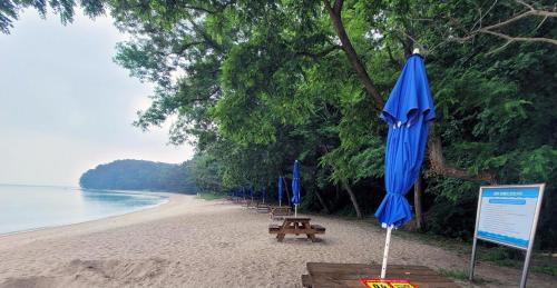 Jincheon Other | Jincheon Daol Camp Site