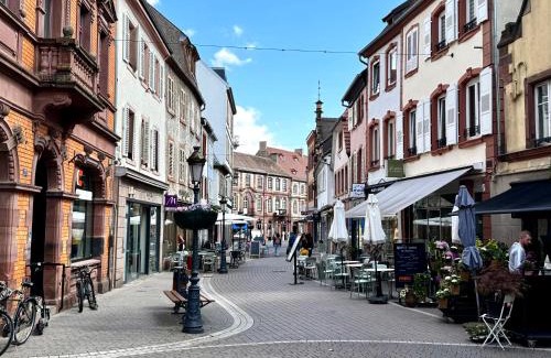 Haguenau Apartment | Joli 2 pièces, avec climatisation et grande terrasse, vue sur les toits, zone piétonne