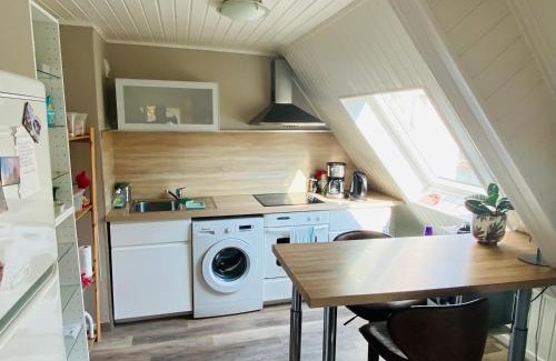 Haguenau Apartment | Joli 2 pièces, avec climatisation et grande terrasse, vue sur les toits, zone piétonne