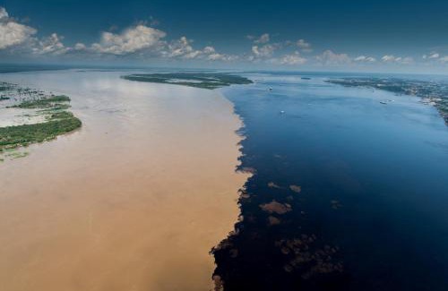 Careiro da Varzea Hotel | Juma Amazon Lodge