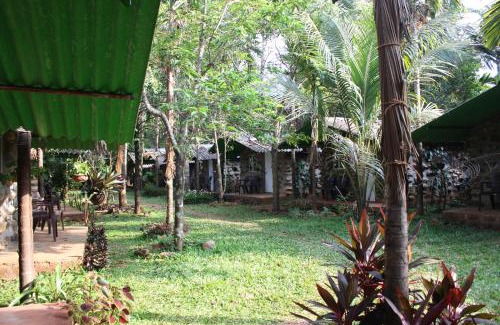 Colem Hotel | Jungle Book Resort