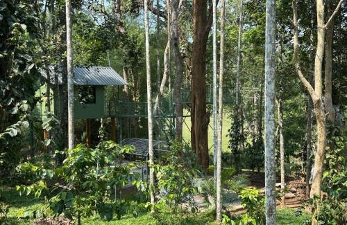 Sulthan Bathery Cabin | Jungle Getaway Wayand