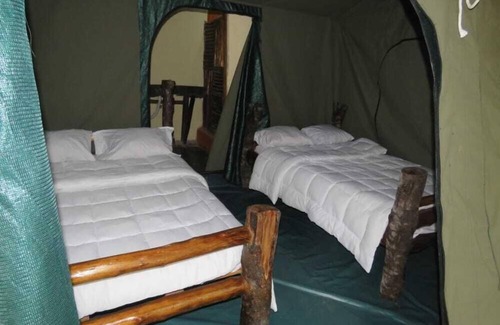 Kitojo Cabin | Jungle lodge Kibale