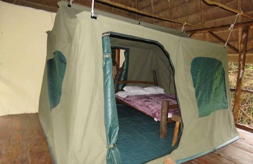 Kitojo Cabin | Jungle lodge Kibale