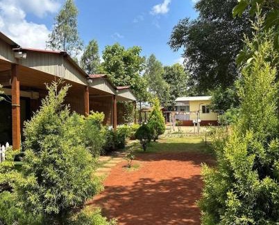 Amba Hotel | Jungle Mist Resort