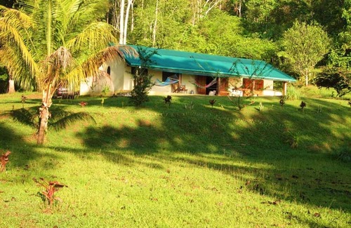 Rincon House | Jungle Retreat a House on the beach in the middle of the jungle