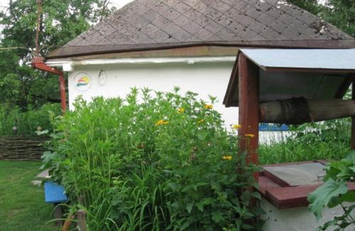 Kiev Oblast House | Kалиновий Kущ