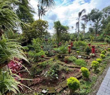 Alwaye House | Kadavath Homestay