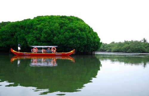 Kadalundi House | Kadingis homestay and eco tourism