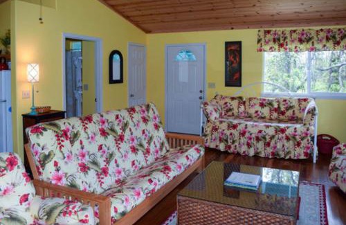Mountain View House | Kahu 'lo - Guardian Hawk