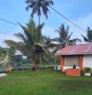 Kuthiathode Bed & Breakfast | Kalinga kayaloram