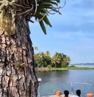 Kuthiathode Bed & Breakfast | Kalinga kayaloram