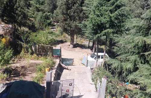 Kalpa House | KALPA JUNGLE RETREAT