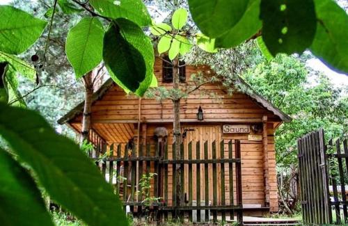 Płaska Resort | Karczma Starożyn