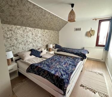 Velence House | Karnevál Vendégház