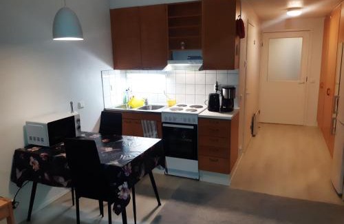 Soini Apartment | Kauppala, Soini kk