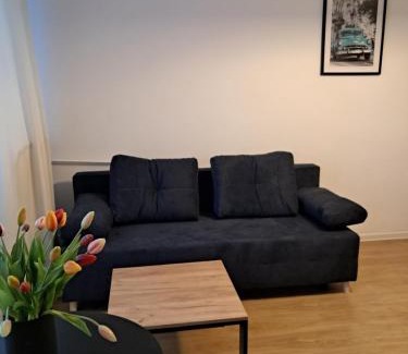 Nowy Sacz Apartment | KAWALERKA 28M SALON Z KUCHNIĄ CENTRUM NOWY SĄCZ
