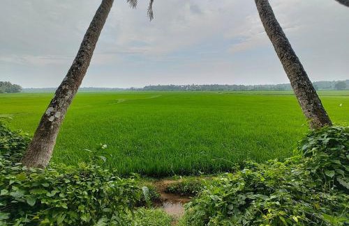 Chittilapilly Villa | Kesu's Villa