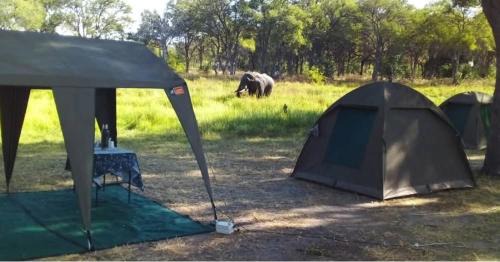 Khwai Other | Khwai Mokoro Safaris and Campsites