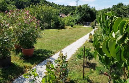 Kincsesbanya Bed & Breakfast | Kincsesbánya
