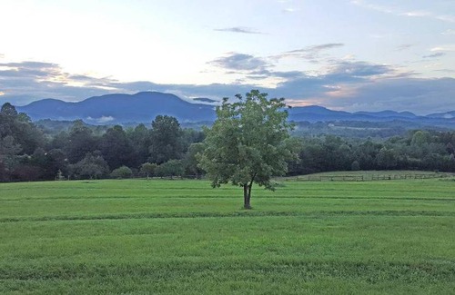Landrum Apartment | King Guesthouse with Panoramic Mt Views & Firepit