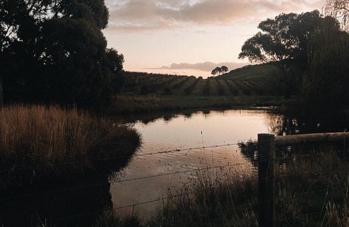 McLaren Vale House | Kingsgate Farm-Stay