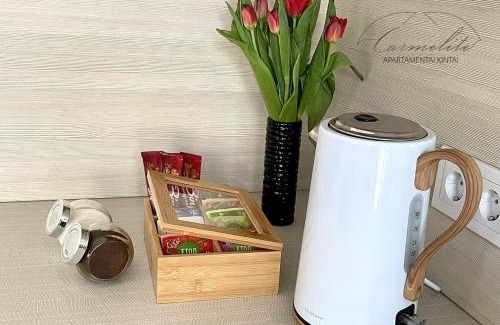 Kintai Apartment | Kintai Carmelite apartment