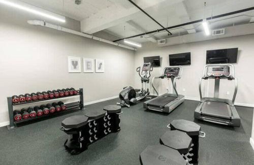 Central Business District Apartment | Kislak #206 1BR 1BA