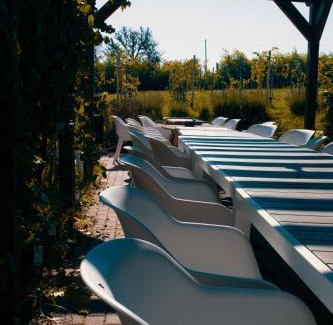 Bohonye Apartment | Kispince Wellness Borbirtok
