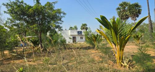 Karaikudi House | KK Dream Garden