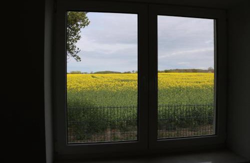 Rehna House | Kleines Haus am Feld