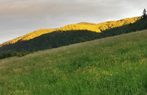 Cisna Cabin | KLEMENTÓWKA