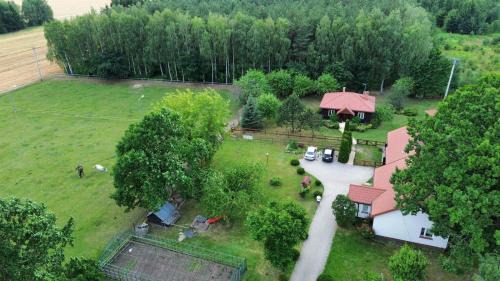gmina Debe Wielkie House | Konie w Tle