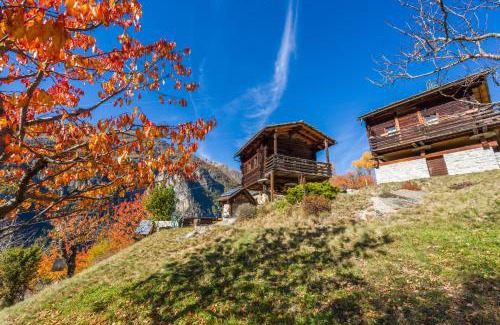 Graechen Ski Chalet | korn-stadel ARIDA PRATA "natur pur"