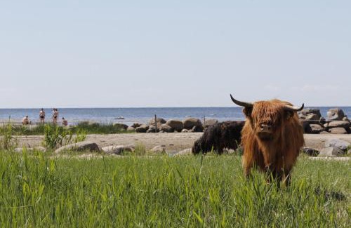 Haademeeste Resort | Kosmonautika Puhkekeskus