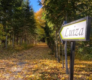 Ostroda Apartment | Królowa Luiza i Wiking