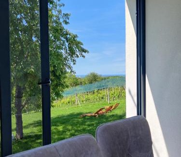 Kraljevec Sesvetski Villa | Kuća za odmor Villa Cesarica - Zagreb