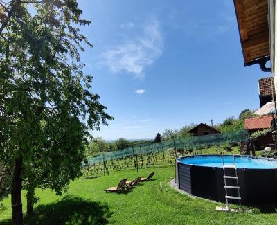 Kraljevec Sesvetski Villa | Kuća za odmor Villa Cesarica - Zagreb