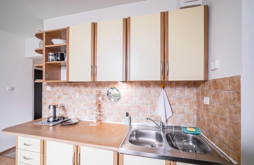 Pradnik Bialy Apartment | Kuźnicy Standard Apartment