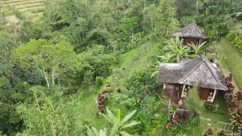 Penebel Villa | Kubu Damai Guest House