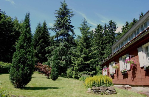 Jonsdorf Apartment | Kurort Jonsdorf - modern apartment by the forest
