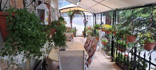 Kyperounta Apartment | Kyperounta Troodos mountain house
