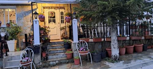Kyperounta Apartment | Kyperounta Troodos mountain house