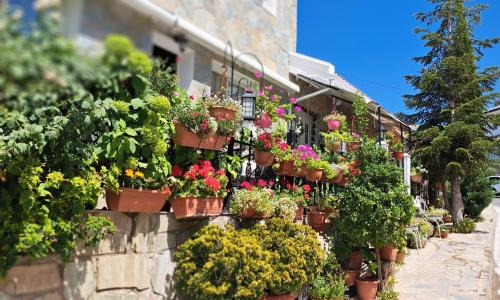 Kyperounta Apartment | Kyperounta Troodos mountain house