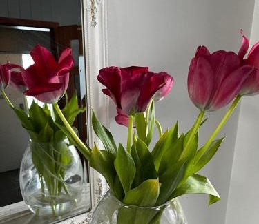Stykkisholmur Bed & Breakfast | Lágholt 16