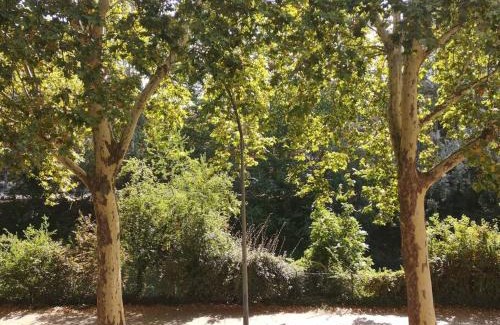 Saint - Aubin - Dupuy Apartment | L'Élégance du Midi - climatisation réversible