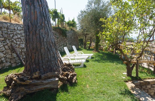 Monte Chiaro Apartment | L 'Antica Pigna Chateau - Olive Tree Apartment