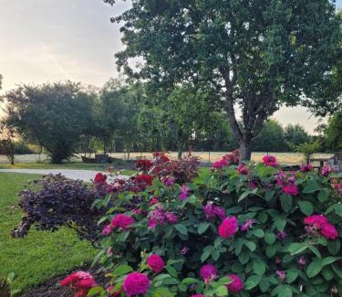 Saintes Bed & Breakfast | L'Atelier 7